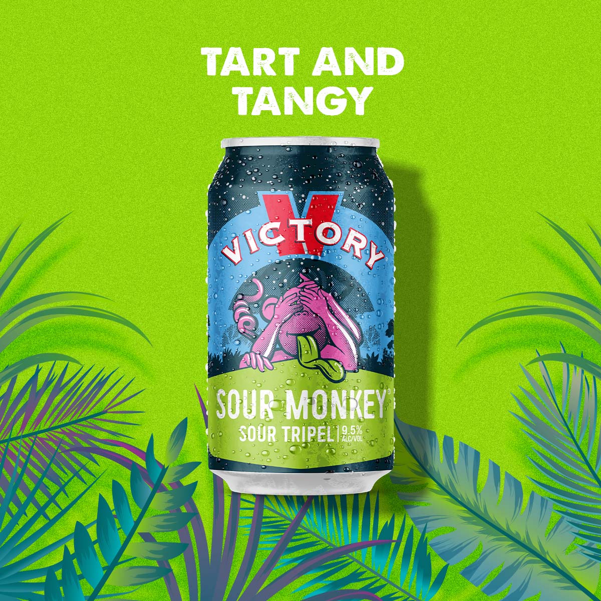 Sour Monkey: Tart and Tangy